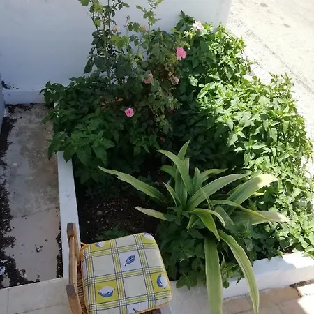 Habitación en casa particular L'oasis *