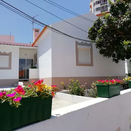L'oasis *